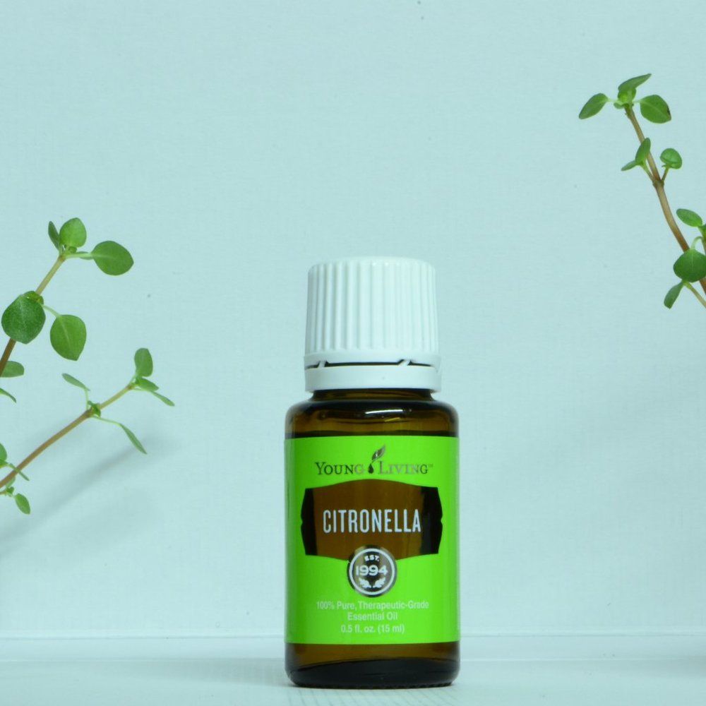Young Living Essential Oils Citronella 15 ml